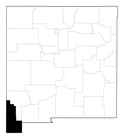 Hidalgo County in New Mexico