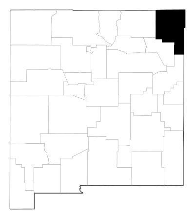 Union County in New Mexico