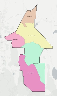 Lyon County NV townships and subdivisions map