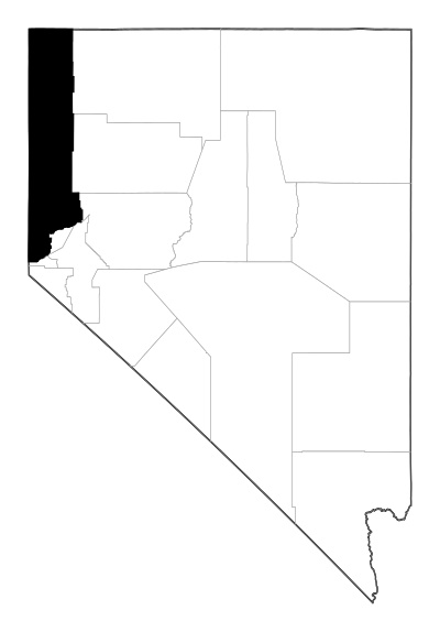 Washoe County in Nevada