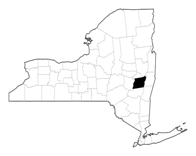 Albany County in New York