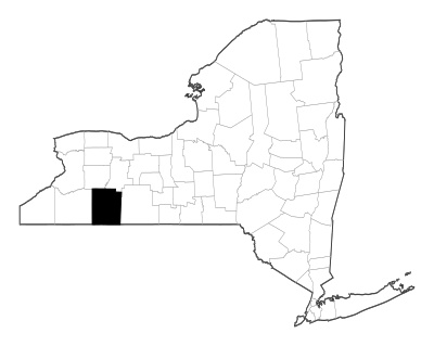 Allegany County in New York