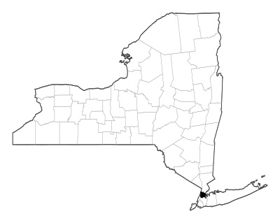 Bronx County in New York