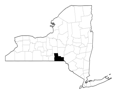 Broome County in New York