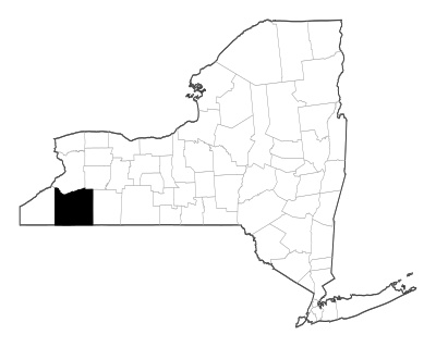 Cattaraugus County in New York