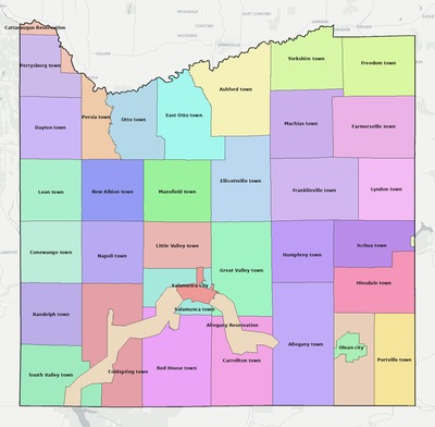 Cattaraugus County NY townships and subdivisions map