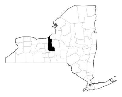 Cayuga County in New York