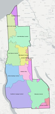 Cayuga County NY school district boundaries map