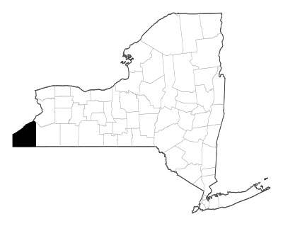 Chautauqua County in New York