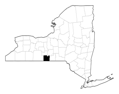 Chemung County in New York