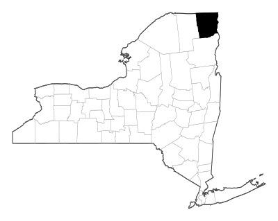 Clinton County in New York