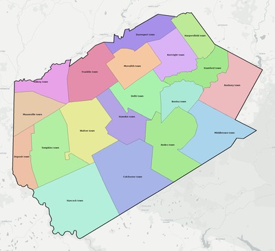 Delaware County NY townships and subdivisions map