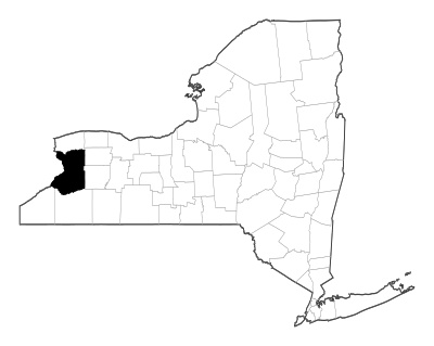 Erie County in New York