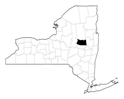 Fulton County in New York