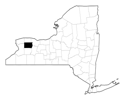 Genesee County in New York