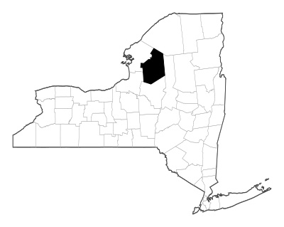 Lewis County in New York