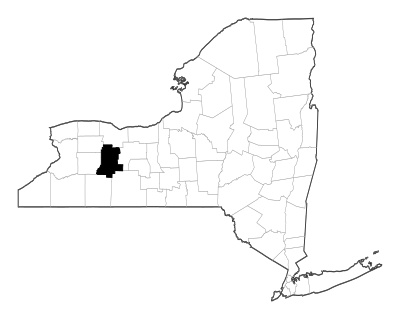 Livingston County in New York
