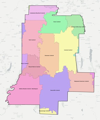 Livingston County NY school district boundaries map
