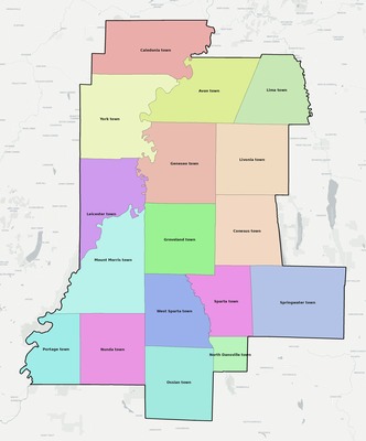 Livingston County NY townships and subdivisions map