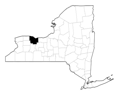 Monroe County in New York