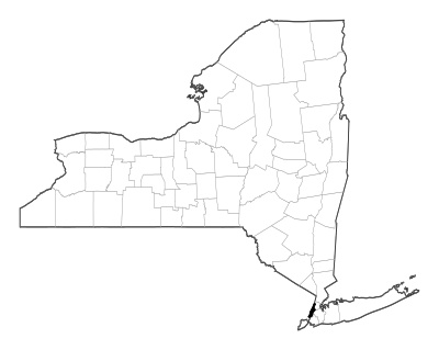 New York County in New York