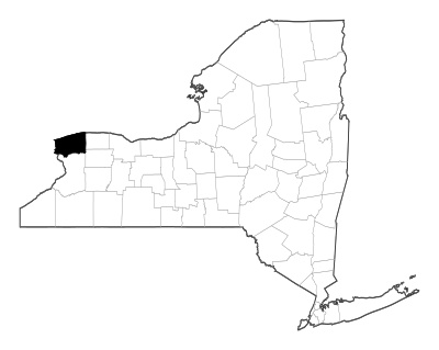 Niagara County in New York