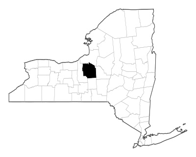 Onondaga County in New York