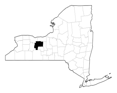 Ontario County in New York