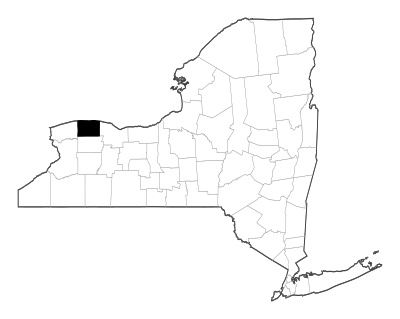 Orleans County in New York