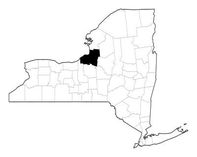 Oswego County in New York
