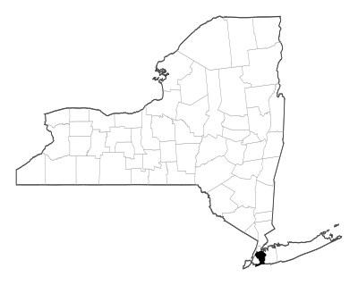 Queens County in New York