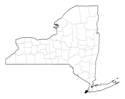 Richmond County in New York