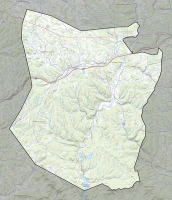 Schoharie County NY USGS topo map