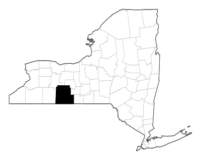 Steuben County in New York