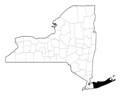 Suffolk County in New York