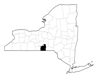 Tioga County in New York