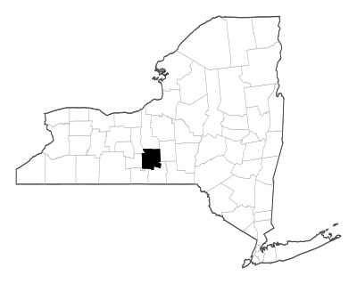 Tompkins County in New York