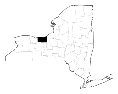 Wayne County in New York
