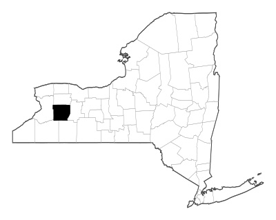 Wyoming County in New York