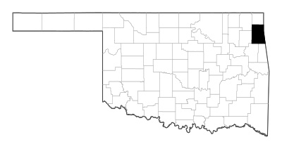 Delaware County in Oklahoma
