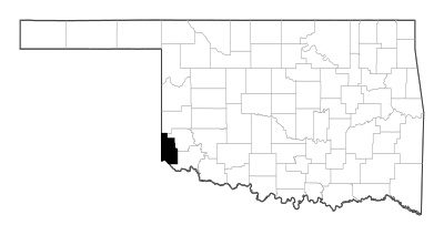 Harmon County in Oklahoma