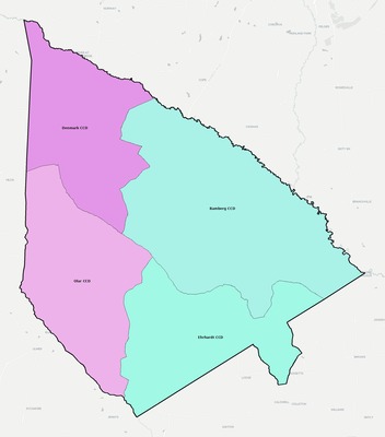 Bamberg County SC townships and subdivisions map