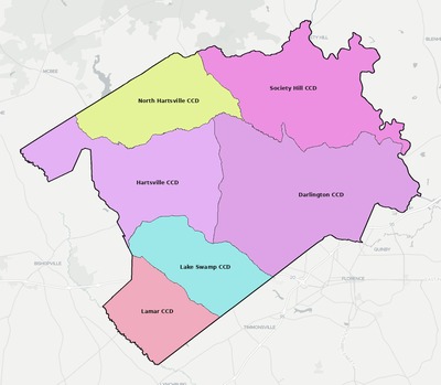 Darlington County SC townships and subdivisions map