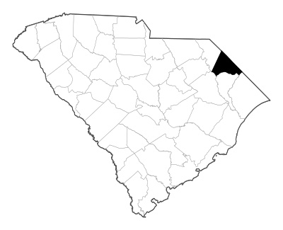 Dillon County in South Carolina