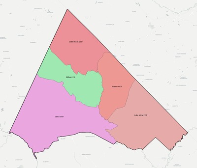 Dillon County SC townships and subdivisions map