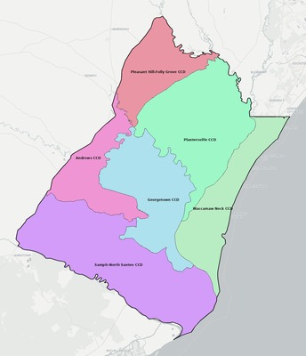 Georgetown County SC townships and subdivisions map