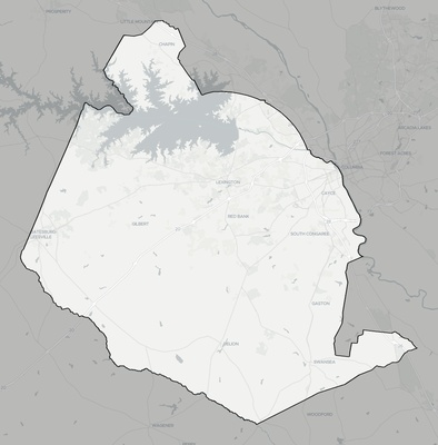 Lexington County SC county basemap context
