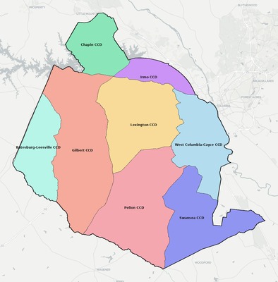 Lexington County SC townships and subdivisions map