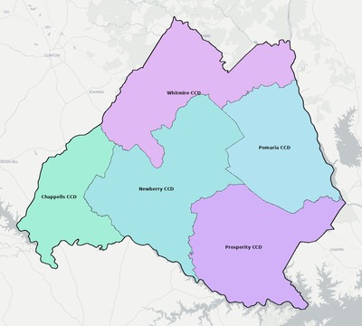 Newberry County SC townships and subdivisions map