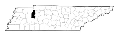 Benton County in Tennessee